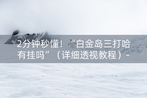 2分钟秒懂！“白金岛三打哈有挂吗”（详细透视教程）-哔哩哔哩