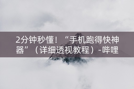 2分钟秒懂！“手机跑得快神器”（详细透视教程）-哔哩哔哩