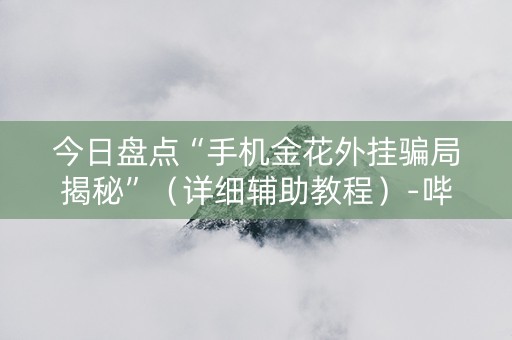 今日盘点“手机金花外挂骗局揭秘”（详细辅助教程）-哔哩哔哩