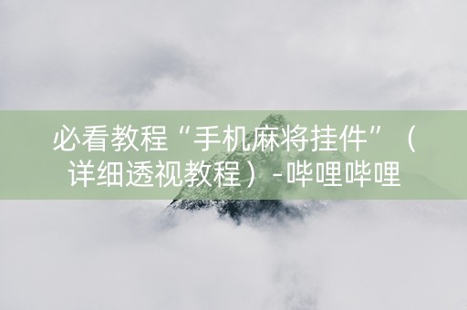 必看教程“手机麻将挂件”（详细透视教程）-哔哩哔哩