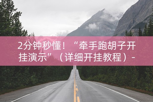 2分钟秒懂！“牵手跑胡子开挂演示”（详细开挂教程）-哔哩哔哩