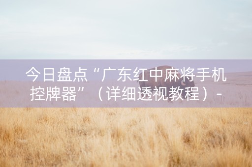 今日盘点“广东红中麻将手机控牌器”（详细透视教程）-哔哩哔哩