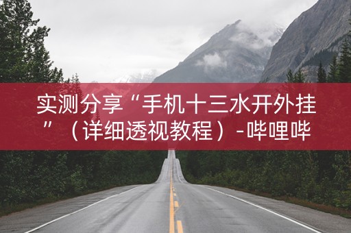 实测分享“手机十三水开外挂”（详细透视教程）-哔哩哔哩