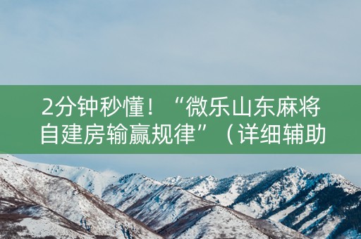 2分钟秒懂！“微乐山东麻将自建房输赢规律”（详细辅助教程）-哔哩哔哩