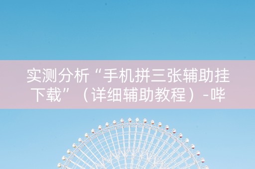 实测分析“手机拼三张辅助挂下载”（详细辅助教程）-哔哩哔哩