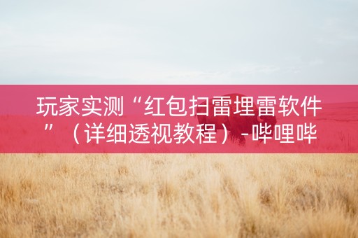 玩家实测“红包扫雷埋雷软件”（详细透视教程）-哔哩哔哩