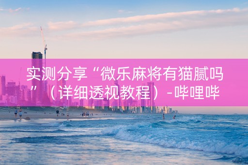 实测分享“微乐麻将有猫腻吗”（详细透视教程）-哔哩哔哩