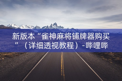 新版本“雀神麻将铺牌器购买”（详细透视教程）-哔哩哔哩
