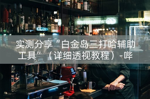实测分享“白金岛三打哈辅助工具”（详细透视教程）-哔哩哔哩