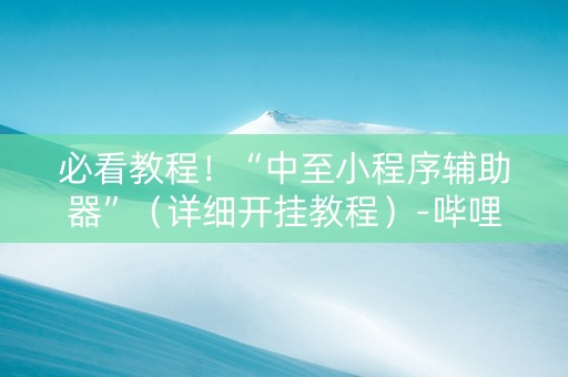 必看教程！“中至小程序辅助器”（详细开挂教程）-哔哩哔哩