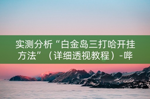 实测分析“白金岛三打哈开挂方法”（详细透视教程）-哔哩哔哩