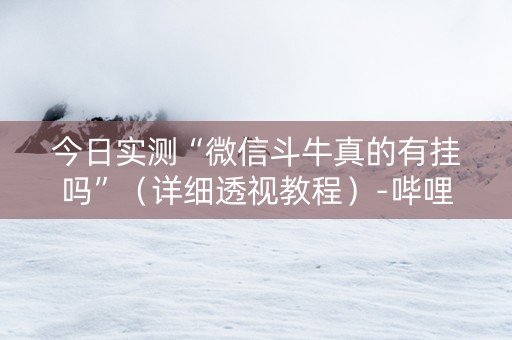 今日实测“微信斗牛真的有挂吗”（详细透视教程）-哔哩哔哩