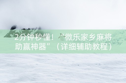 2分钟秒懂！“微乐家乡麻将助赢神器”（详细辅助教程）-哔哩哔哩
