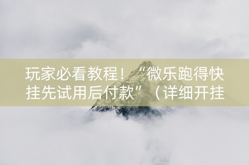 玩家必看教程！“微乐跑得快挂先试用后付款”（详细开挂教程）-哔哩哔哩