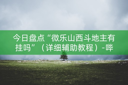 今日盘点“微乐山西斗地主有挂吗”（详细辅助教程）-哔哩哔哩