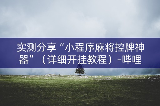 实测分享“小程序麻将控牌神器”（详细开挂教程）-哔哩哔哩