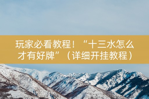 玩家必看教程！“十三水怎么才有好牌”（详细开挂教程）-哔哩哔哩