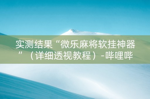 实测结果“微乐麻将软挂神器”（详细透视教程）-哔哩哔哩