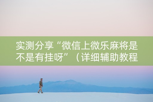 实测分享“微信上微乐麻将是不是有挂呀”（详细辅助教程）-哔哩哔哩