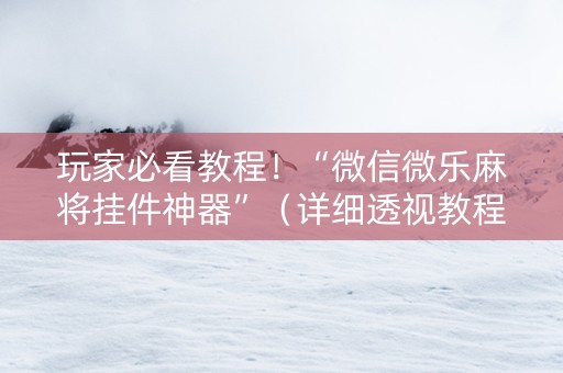 玩家必看教程！“微信微乐麻将挂件神器”（详细透视教程）-哔哩哔哩