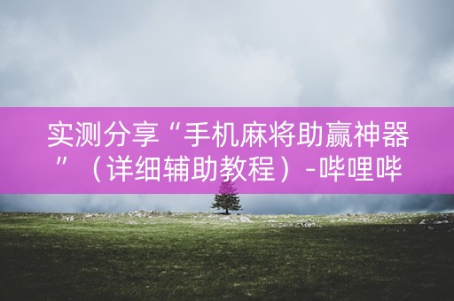 实测分享“手机麻将助赢神器”（详细辅助教程）-哔哩哔哩