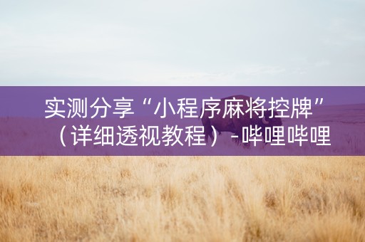 实测分享“小程序麻将控牌”（详细透视教程）-哔哩哔哩