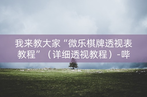 我来教大家“微乐棋牌透视表教程”（详细透视教程）-哔哩哔哩
