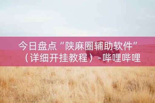 今日盘点“陕麻圈辅助软件”（详细开挂教程）-哔哩哔哩