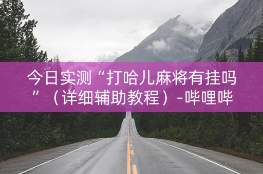 今日实测“打哈儿麻将有挂吗”（详细辅助教程）-哔哩哔哩