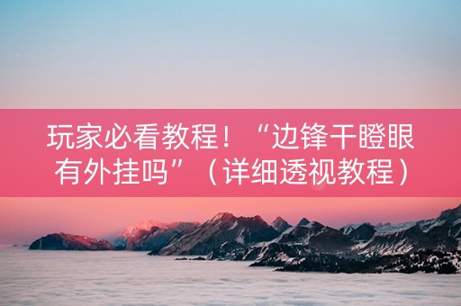 玩家必看教程！“边锋干瞪眼有外挂吗”（详细透视教程）-哔哩哔哩