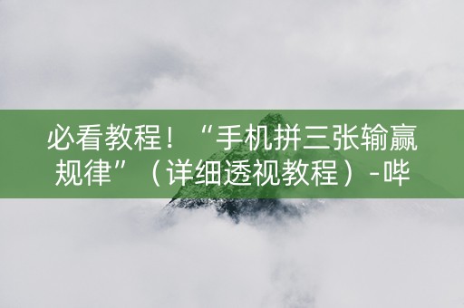 必看教程！“手机拼三张输赢规律”（详细透视教程）-哔哩哔哩