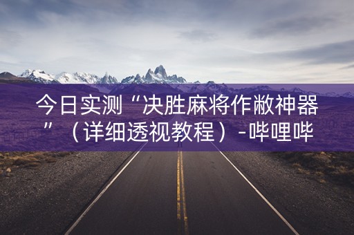 今日实测“决胜麻将作敝神器”（详细透视教程）-哔哩哔哩