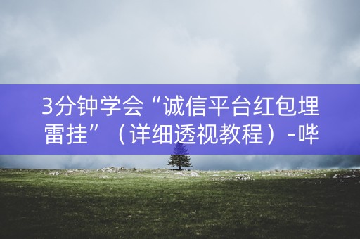 3分钟学会“诚信平台红包埋雷挂”（详细透视教程）-哔哩哔哩