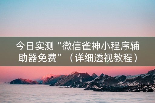 今日实测“微信雀神小程序辅助器免费”（详细透视教程）-哔哩哔哩