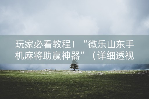 玩家必看教程！“微乐山东手机麻将助赢神器”（详细透视教程）-哔哩哔哩