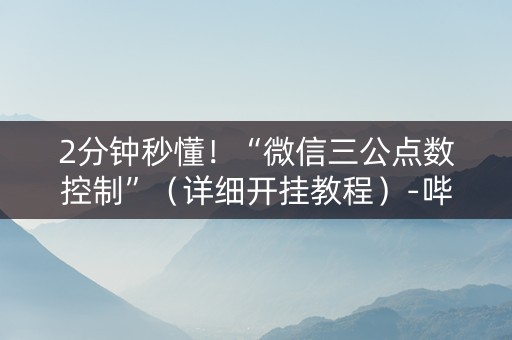 2分钟秒懂！“微信三公点数控制”（详细开挂教程）-哔哩哔哩