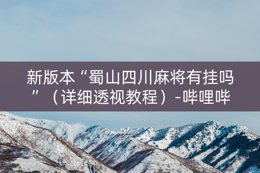 新版本“蜀山四川麻将有挂吗”（详细透视教程）-哔哩哔哩