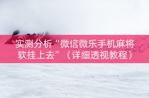 实测分析“微信微乐手机麻将软挂上去”（详细透视教程）-哔哩哔哩