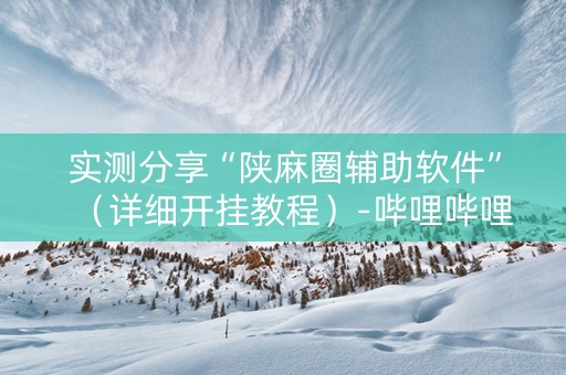 实测分享“陕麻圈辅助软件”（详细开挂教程）-哔哩哔哩