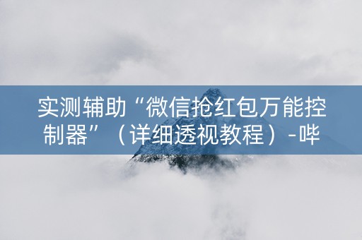 实测辅助“微信抢红包万能控制器”（详细透视教程）-哔哩哔哩