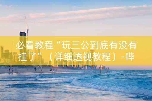 必看教程“玩三公到底有没有挂了”（详细透视教程）-哔哩哔哩