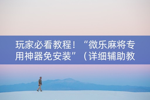 玩家必看教程！“微乐麻将专用神器免安装”（详细辅助教程）-哔哩哔哩