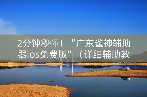 2分钟秒懂！“广东雀神辅助器ios免费版”（详细辅助教程）-哔哩哔哩