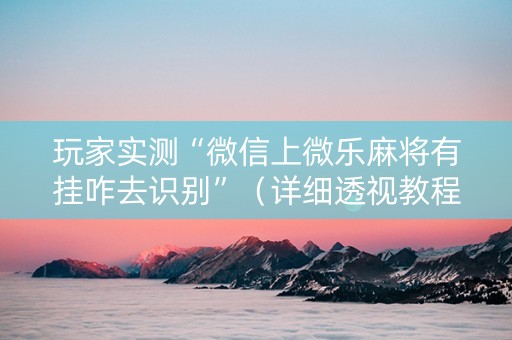 玩家实测“微信上微乐麻将有挂咋去识别”（详细透视教程）-哔哩哔哩