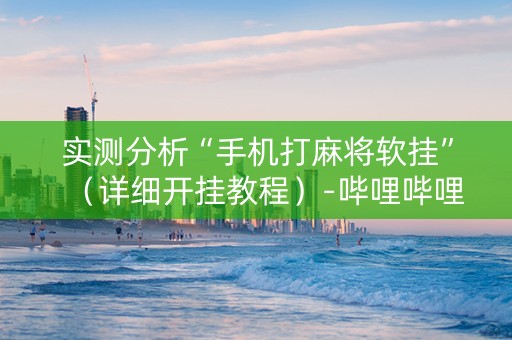 实测分析“手机打麻将软挂”（详细开挂教程）-哔哩哔哩
