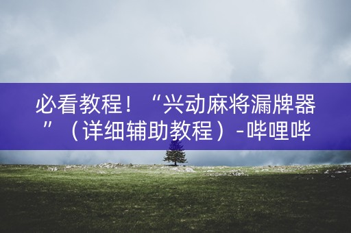 必看教程！“兴动麻将漏牌器”（详细辅助教程）-哔哩哔哩