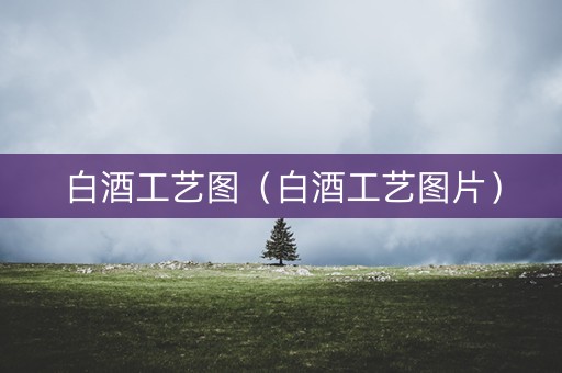 白酒工艺图（白酒工艺图片）