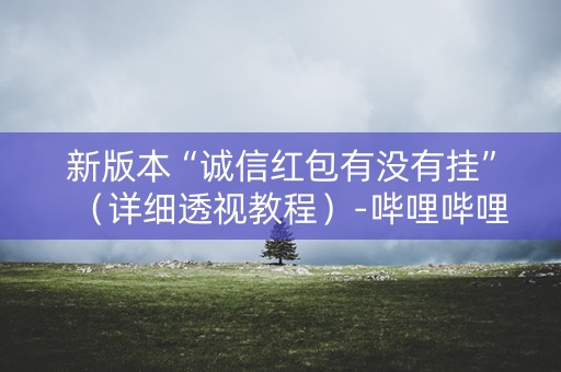 新版本“诚信红包有没有挂”（详细透视教程）-哔哩哔哩