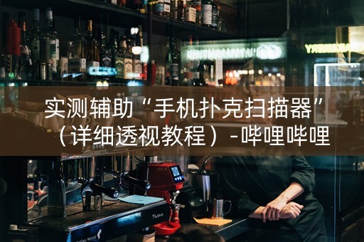 实测辅助“手机扑克扫描器”（详细透视教程）-哔哩哔哩