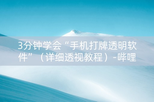 3分钟学会“手机打牌透明软件”（详细透视教程）-哔哩哔哩